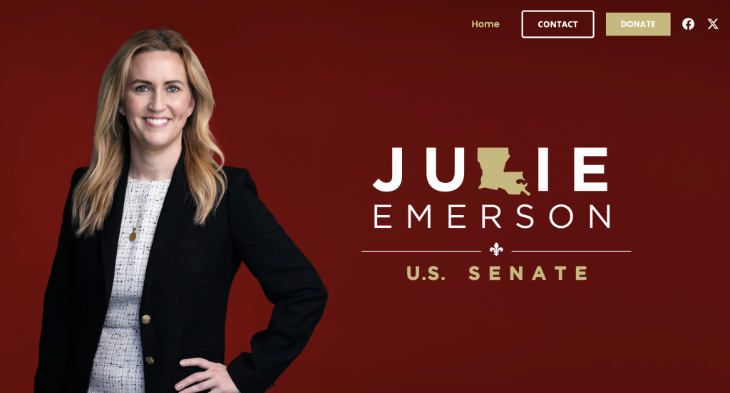 JULIE CATHRYN EMERSON portrait